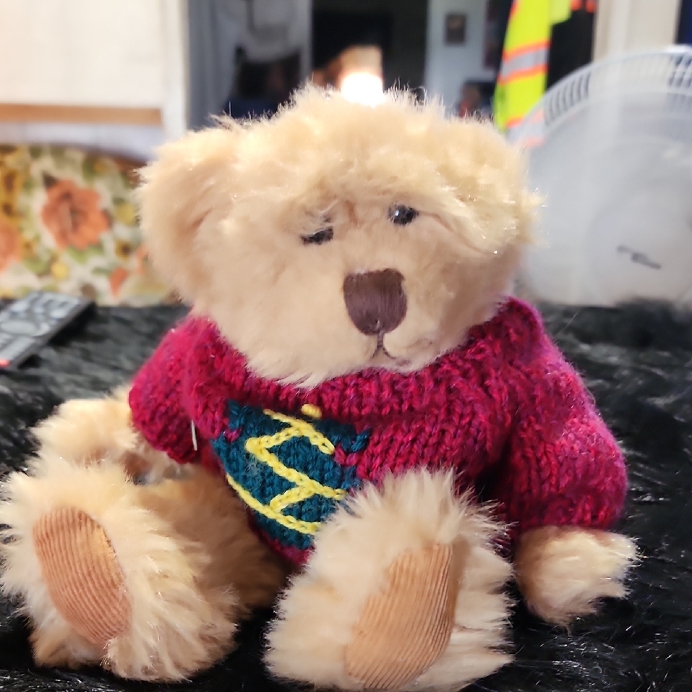 Plush Teddy Bear with Red Sweater. Russ Berrie & Co.  Fireside.